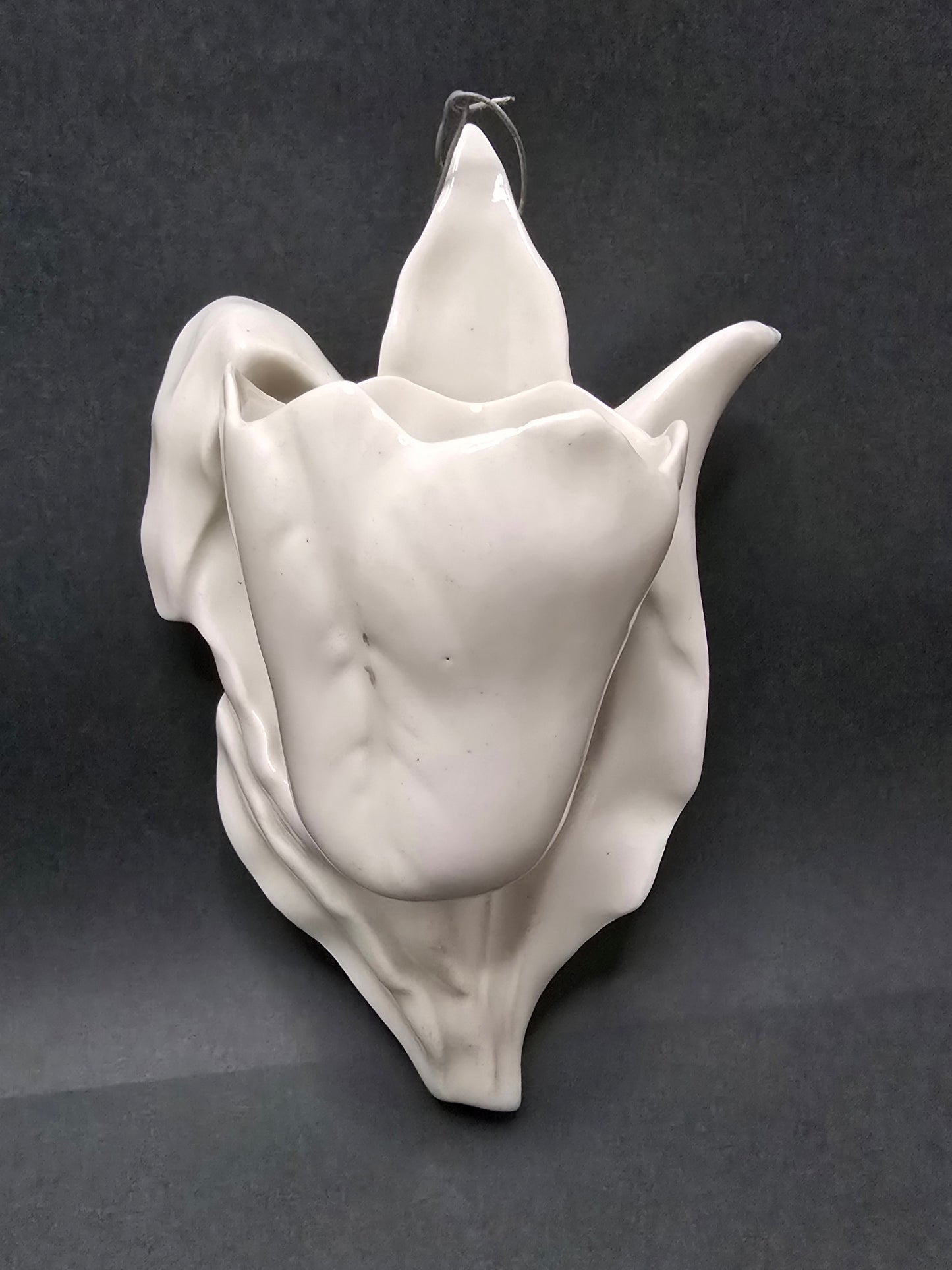 Vintage Dutch Wall Tulip Vase - 1950s Ceramic