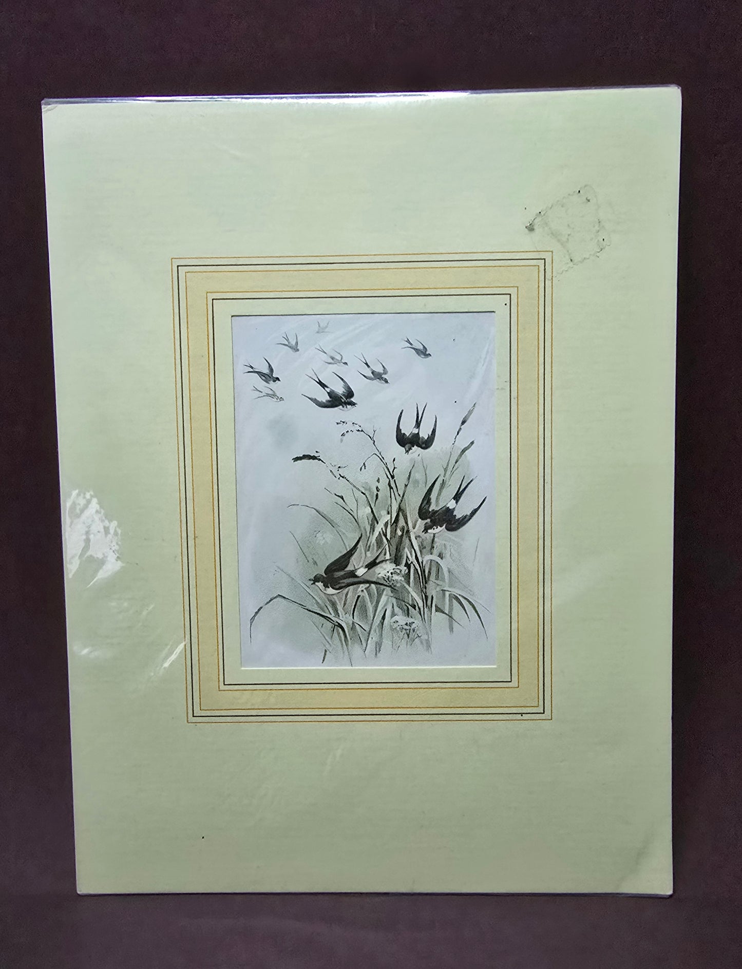 Vintage Relief Drawing