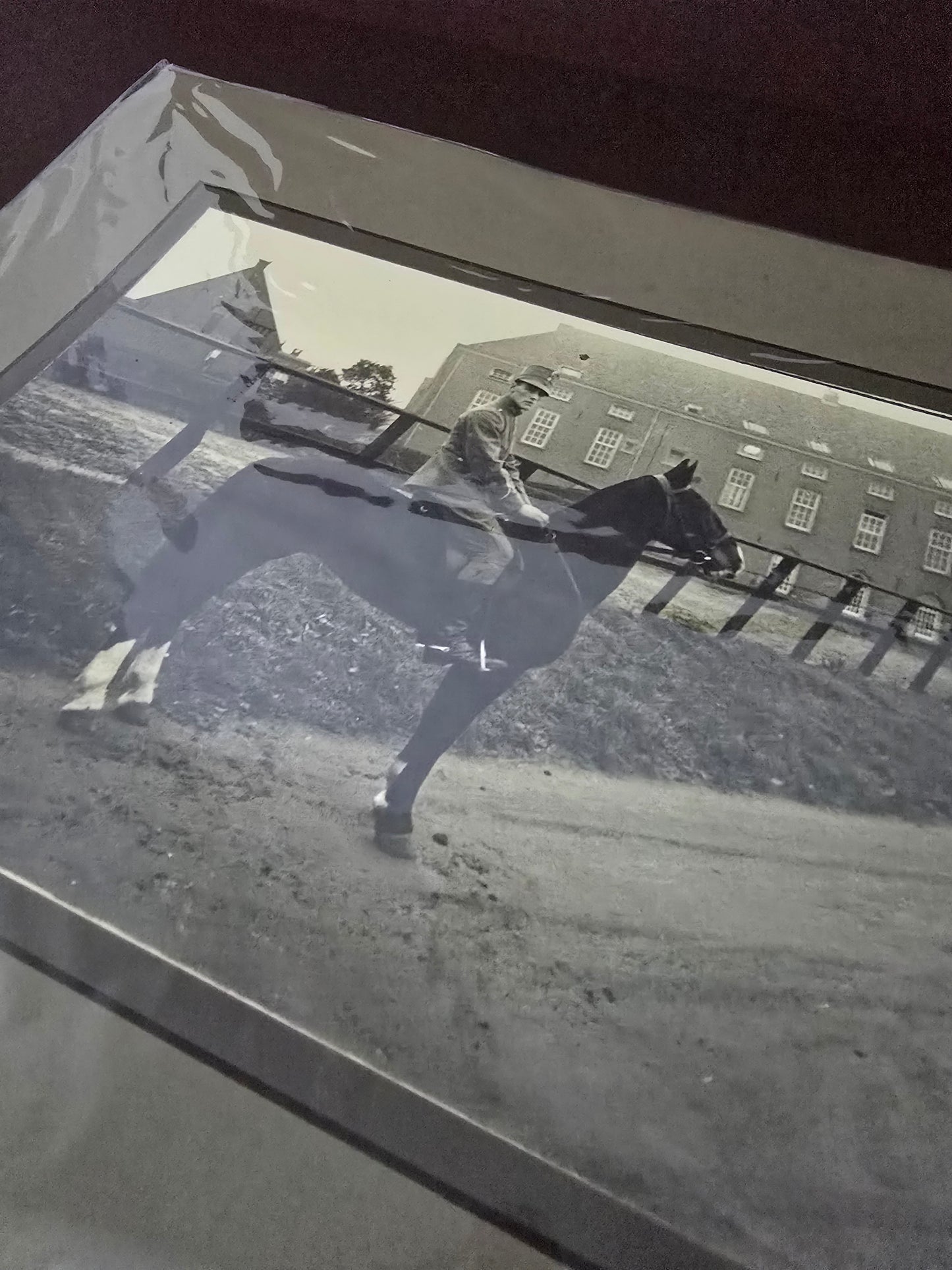 Antique Photograph Soldier on Horseback Netherlands | 1915 WWI Era