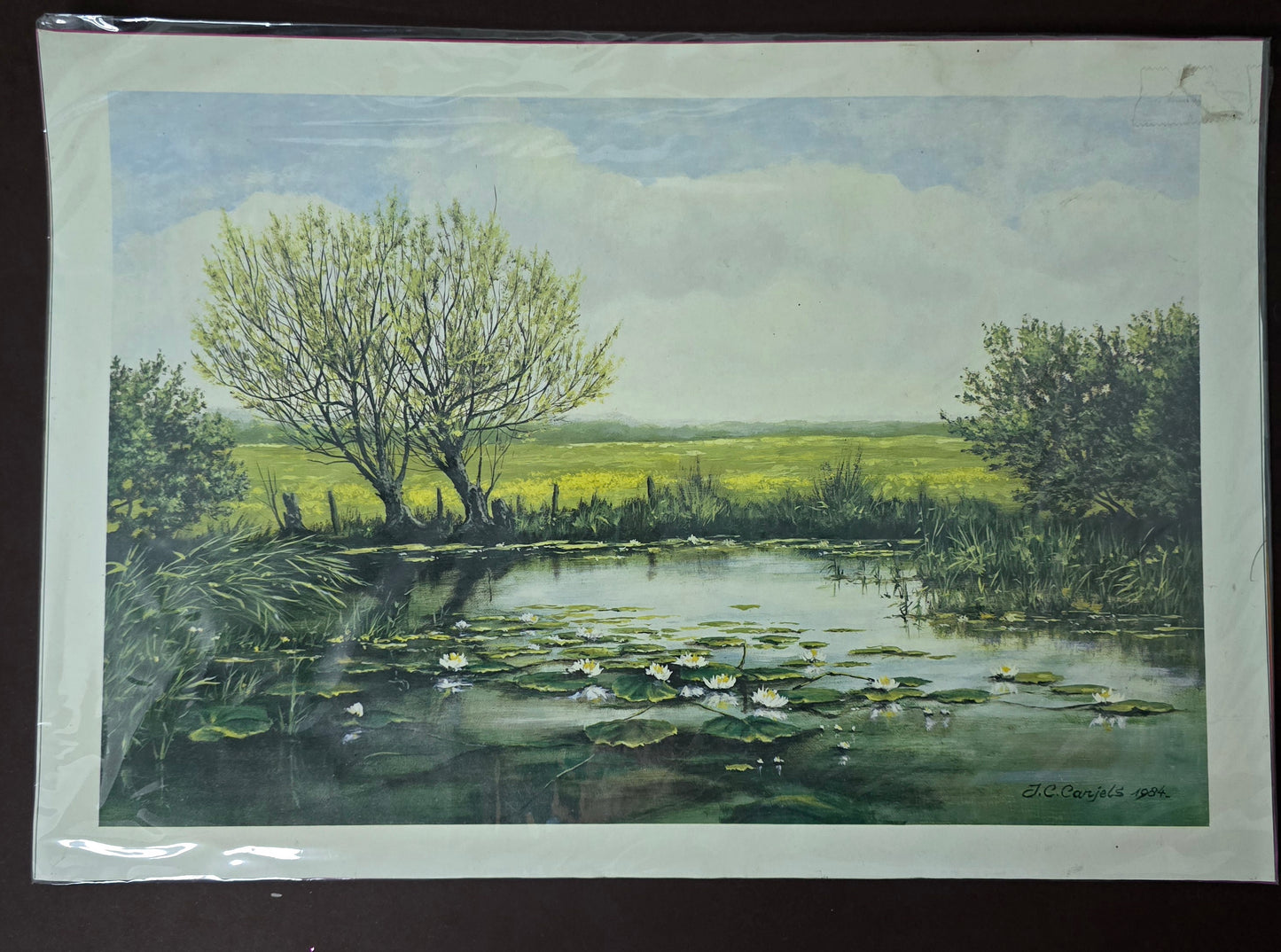 Vintage Print after Painting by J.C. Carjels | France 1984