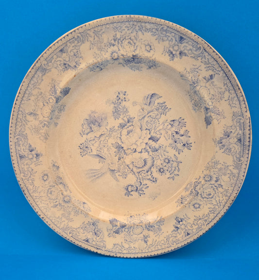 1832 Richard Till & Parker Gething Asian Pheasants Plate - Rare Staffordshire