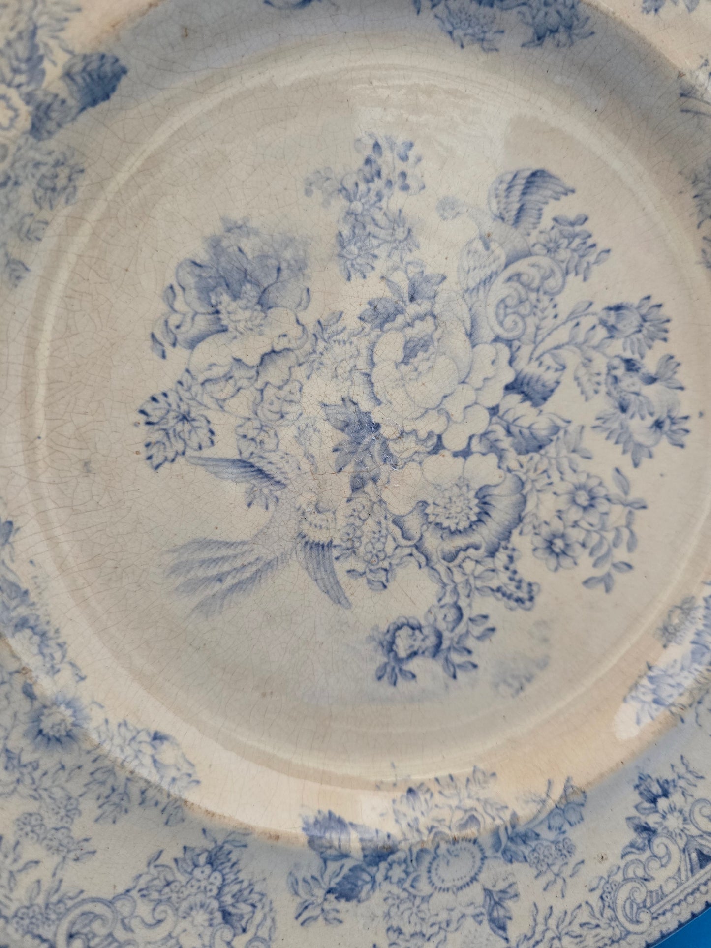 1832 Richard Till & Parker Gething Asian Pheasants Plate - Rare Staffordshire