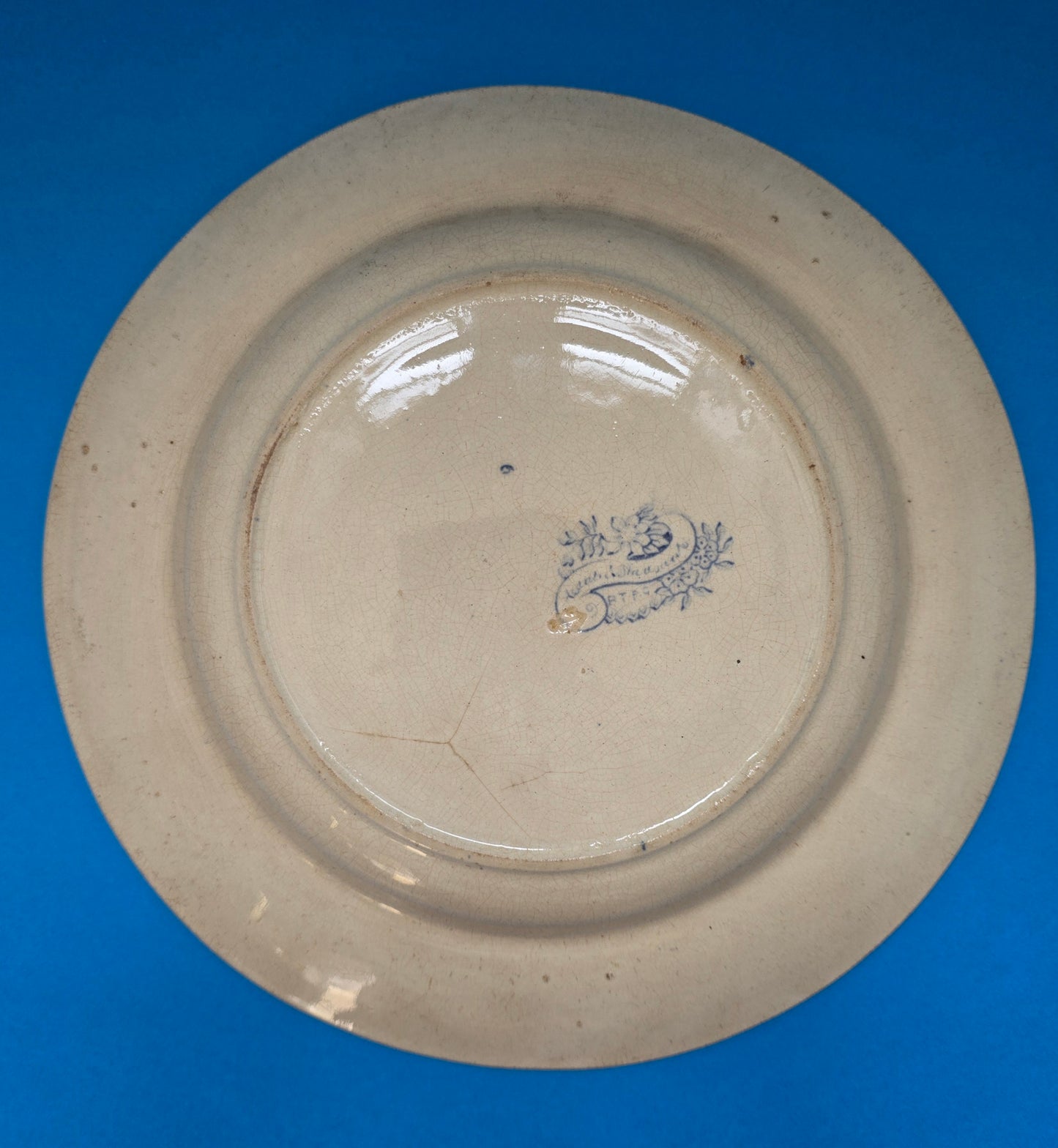 1832 Richard Till & Parker Gething Asian Pheasants Plate - Rare Staffordshire