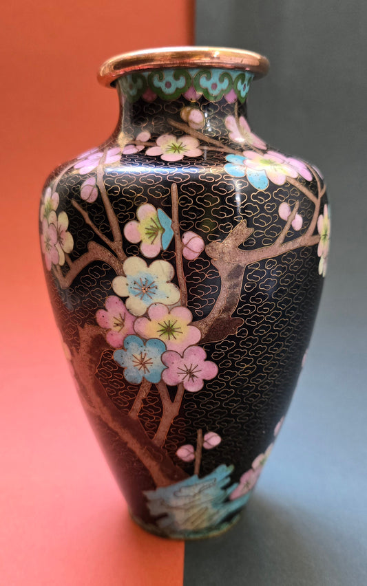 Chinese Black Cloisonné Vase – Dragon & Blossom on Midnight Ground, 1940s–50s