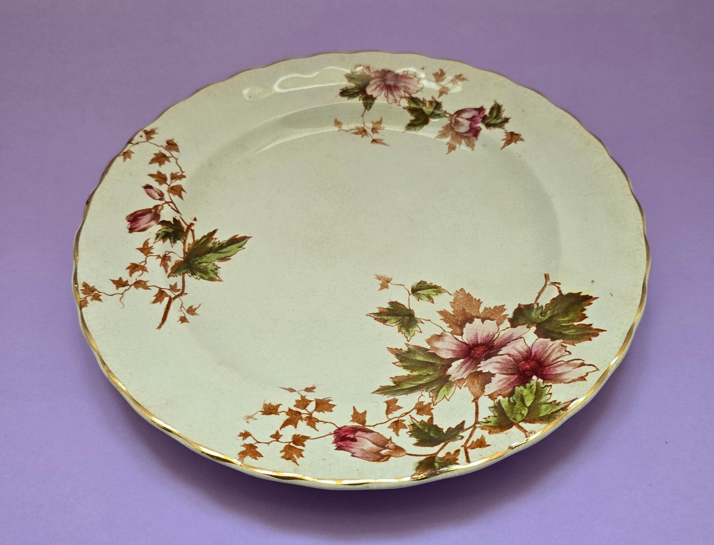 Antique English Dinner Plate, Clematis Floral, attr. Devon, c.1900