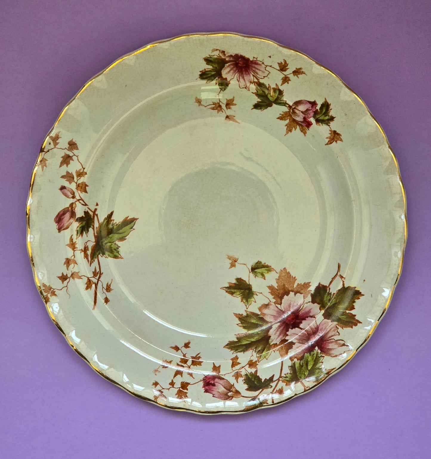 Antique English Dinner Plate, Clematis Floral, attr. Devon, c.1900