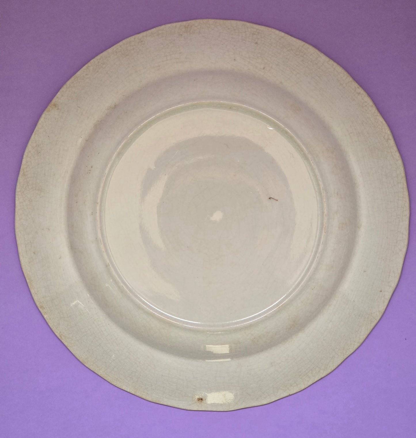 Antique English Dinner Plate, Clematis Floral, attr. Devon, c.1900