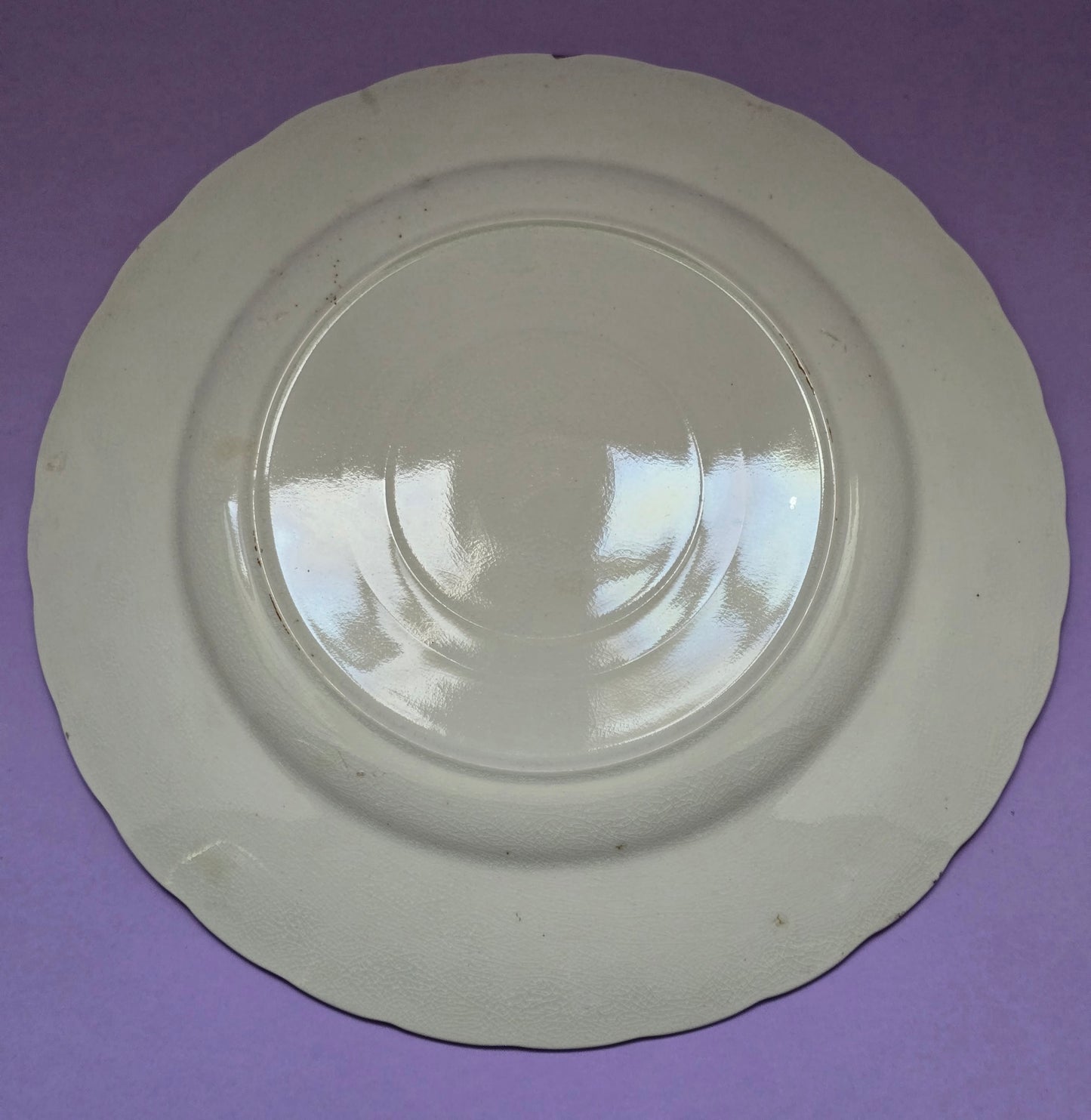 Antique English Dinner Plate, Anemone Floral, attr. Devon, c.1900