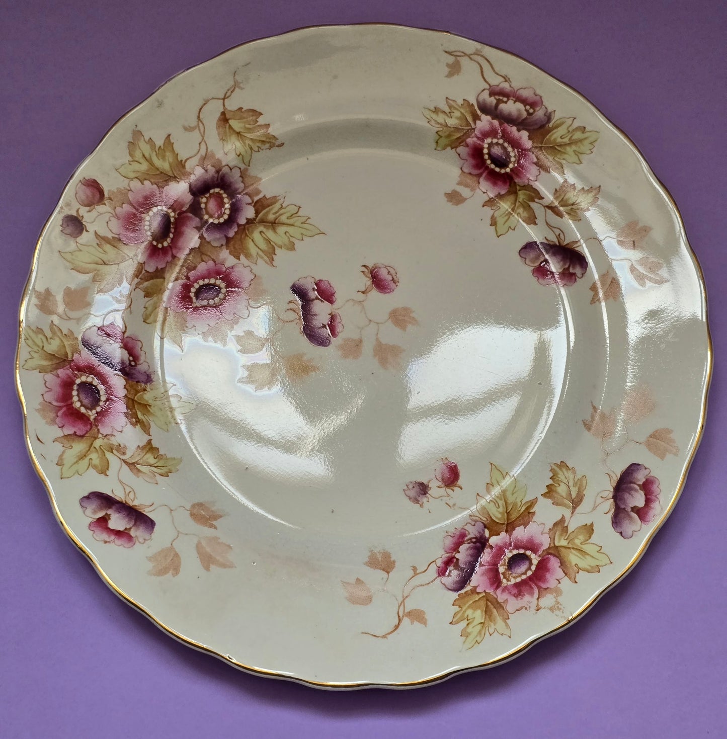 Antique English Dinner Plate, Anemone Floral, attr. Devon, c.1900