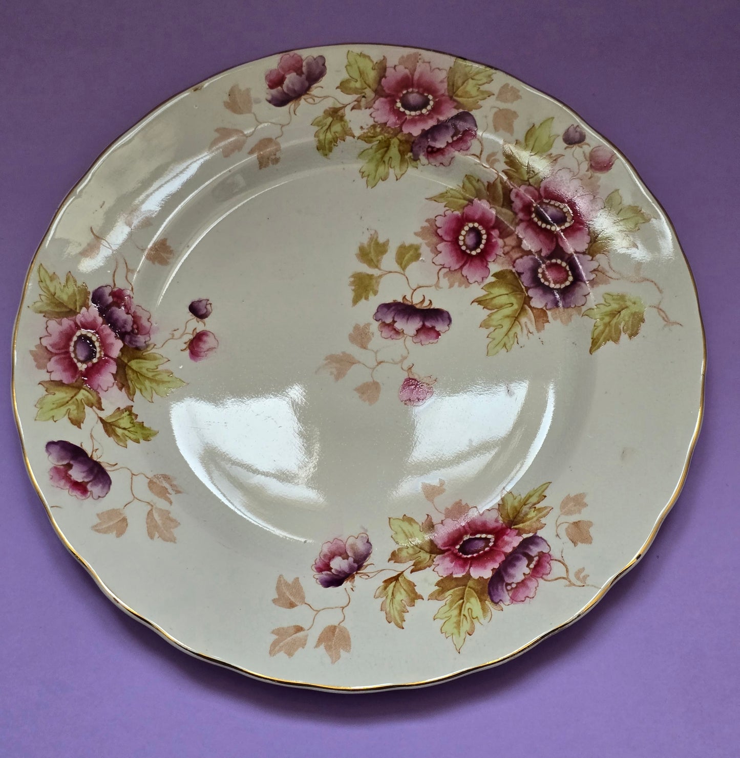 Antique English Dinner Plate, Anemone Floral, attr. Devon, c.1900