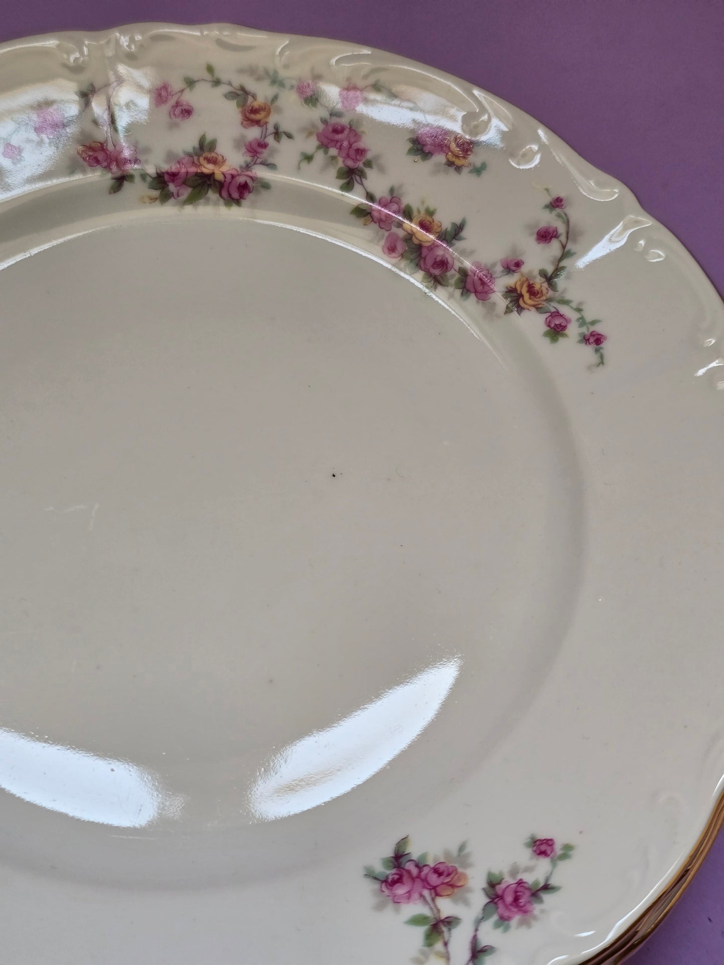 MZ Czechoslovakia Rose Garland Cake Plates — Set of 7, 1930s