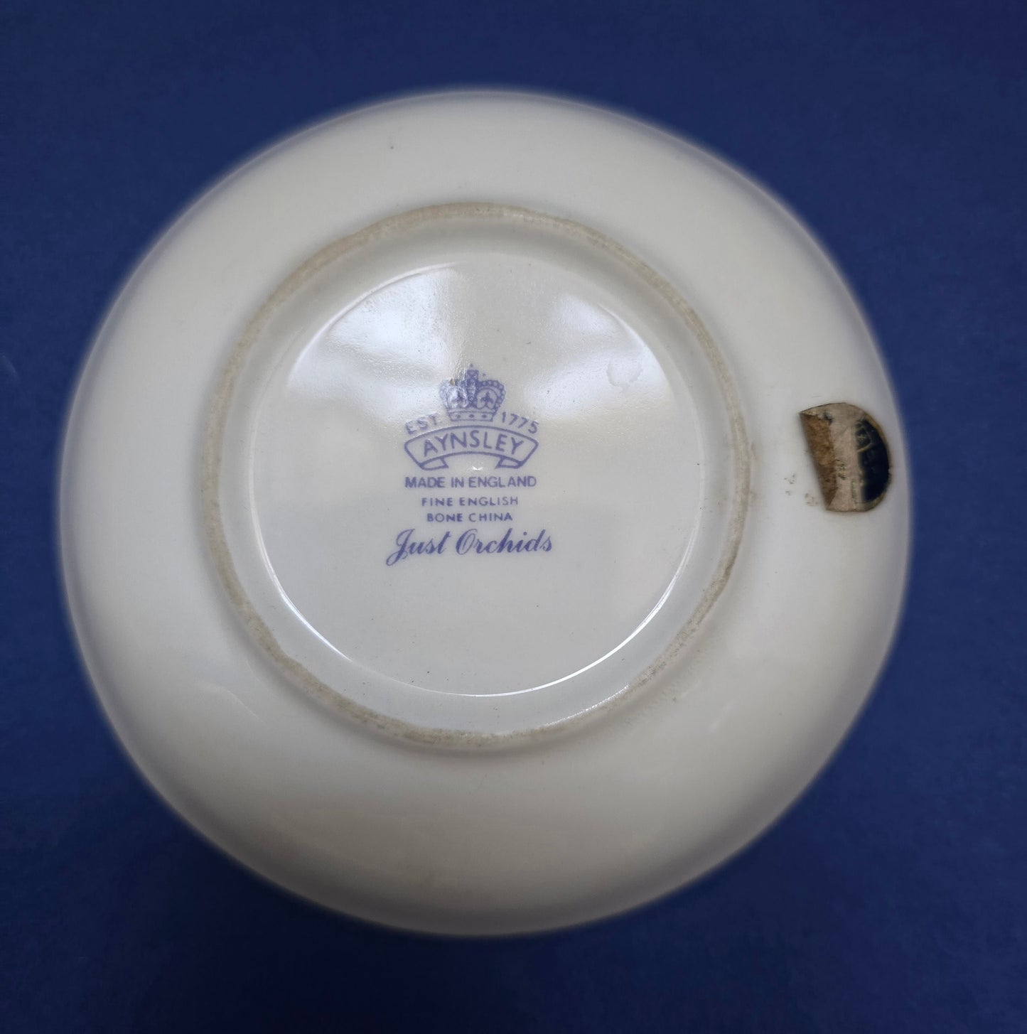Aynsley 'Just Orchids' Vintage Bone China Dish