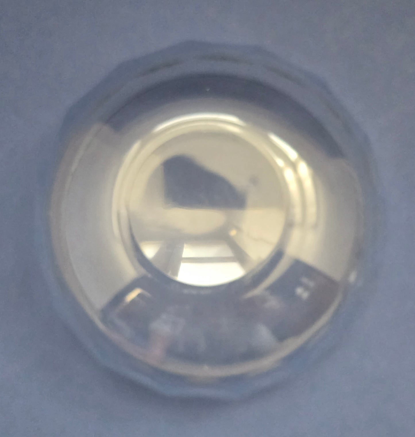 Antique Crystal Finger Bowls with Oval Cut Pattern, c.1890